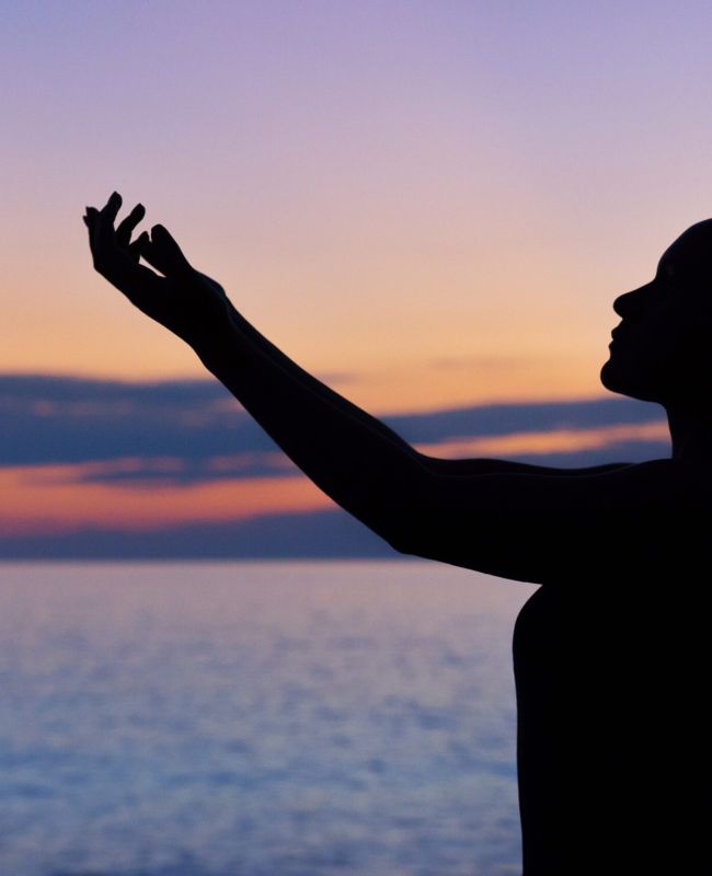 Health And Wellness Consultation